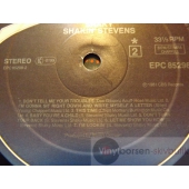 SHAKIN STEVENS  