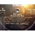 THE WEE PAPA GIRL RAPPERS   