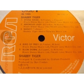 SHABBY TIGER    