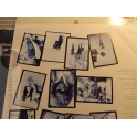 TINA TURNER  