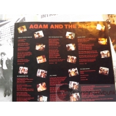 ADAM & THE ANTS   