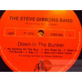 THE STEVE GIBBSON BAND  