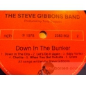 THE STEVE GIBBSON BAND  