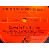 THE STEVE GIBBSON BAND  