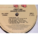 ANDY GIBB  