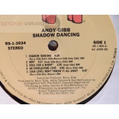 ANDY GIBB  