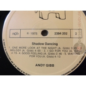 ANDY GIBB  