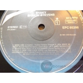 SHAKIN´ STEVENS  