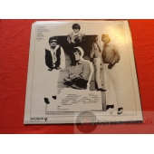 THE VENTURES  