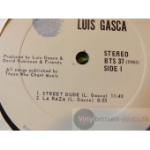LUIS GASCA