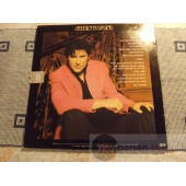 SHAKIN STEVENS  