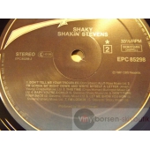 SHAKIN STEVENS  