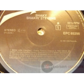 SHAKIN STEVENS  