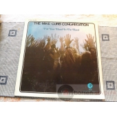 THE MIKE CURB CONGREGATION  