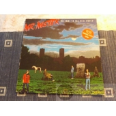 MR.MISTER  