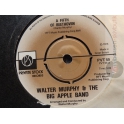 WALTER MURPHY&THE BIG APPLE BAND  