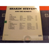 SHAKIN STEVENS   
