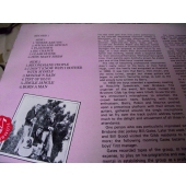 BEE GEES THE BEE GEES BONANZA 2LP