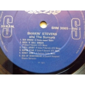 SHAHIN STEVENS 