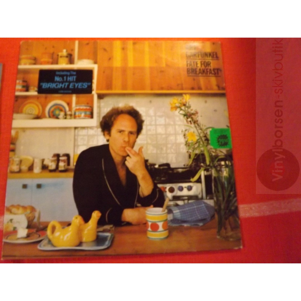ART GARFUNKEL   