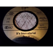 IT´S IMMATERIAL SPACE