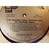THE PARTRIDGE  FAMILY 
