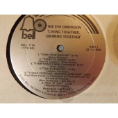 THE 5TH DIMENSION