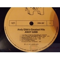 ANDY GIBB