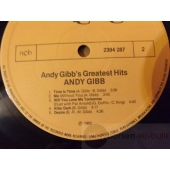 ANDY GIBB