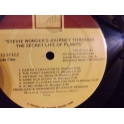 STEVIE WONDER