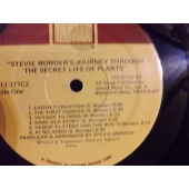 STEVIE WONDER