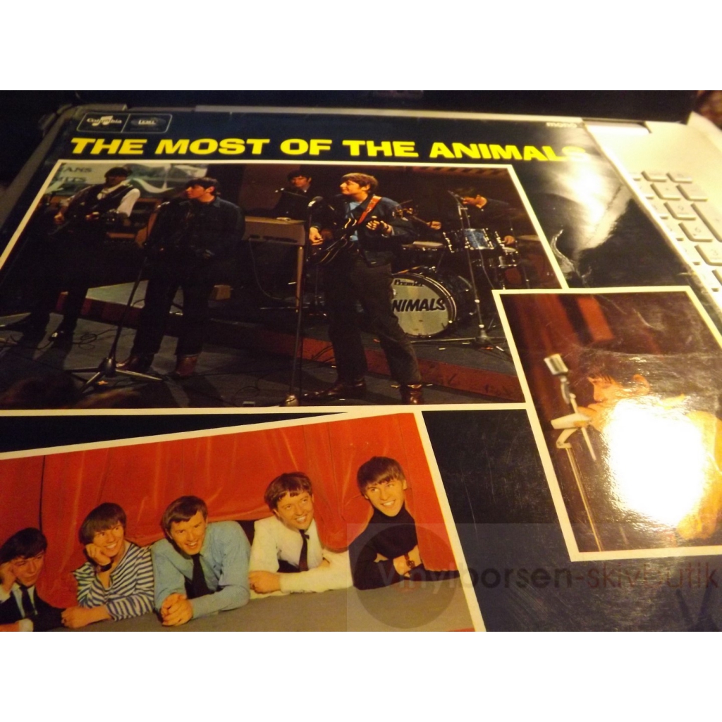 THE ANIMALS 