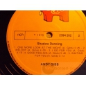 ANDY GIBB   