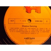 ANDY GIBB   
