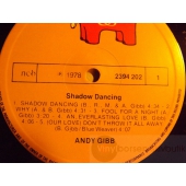 ANDY GIBB   