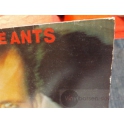 ADAM AND THE ANTS  