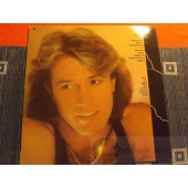 ANDY GIBB   