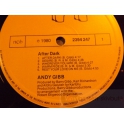 ANDY GIBB   