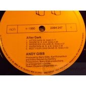 ANDY GIBB   