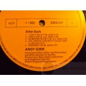 ANDY GIBB   