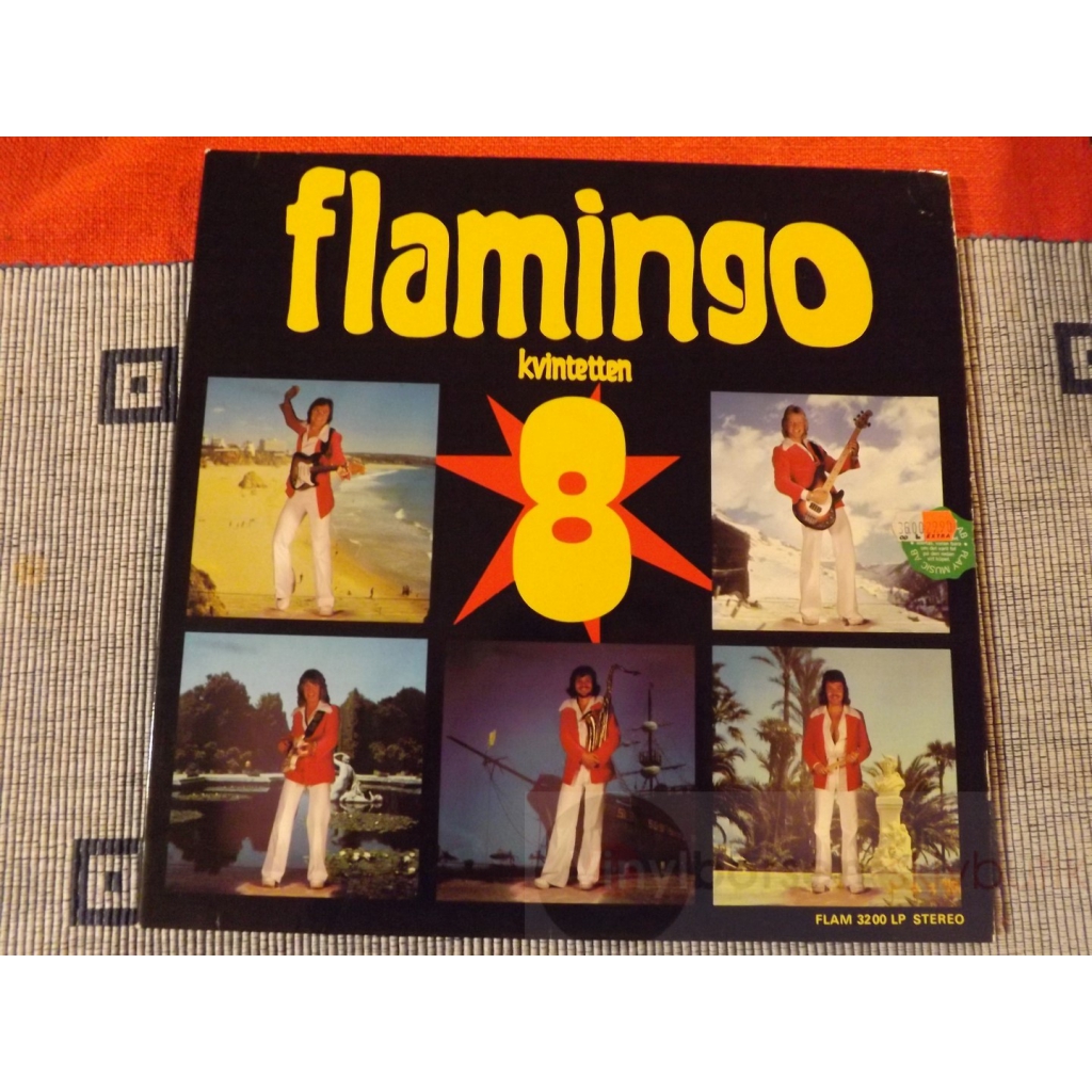 FLAMINGO  8