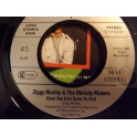 ZIGGY MARLEY & THE MELODY MAKERS   