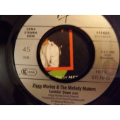 ZIGGY MARLEY & THE MELODY MAKERS   